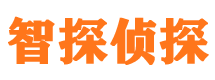 老河口市私人侦探